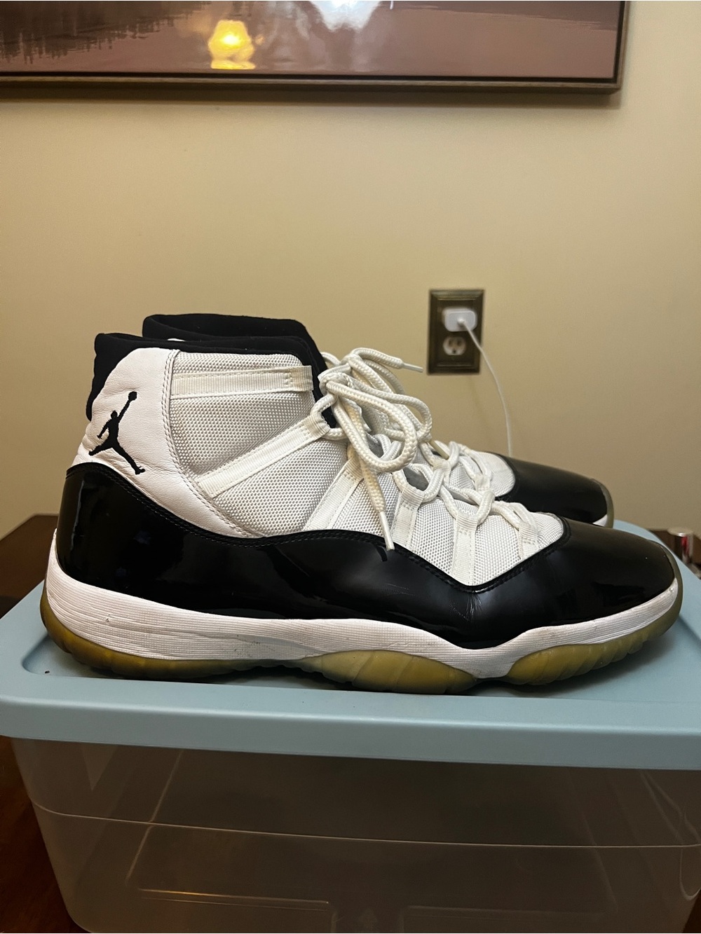 Jordan 11 Concord Size 16